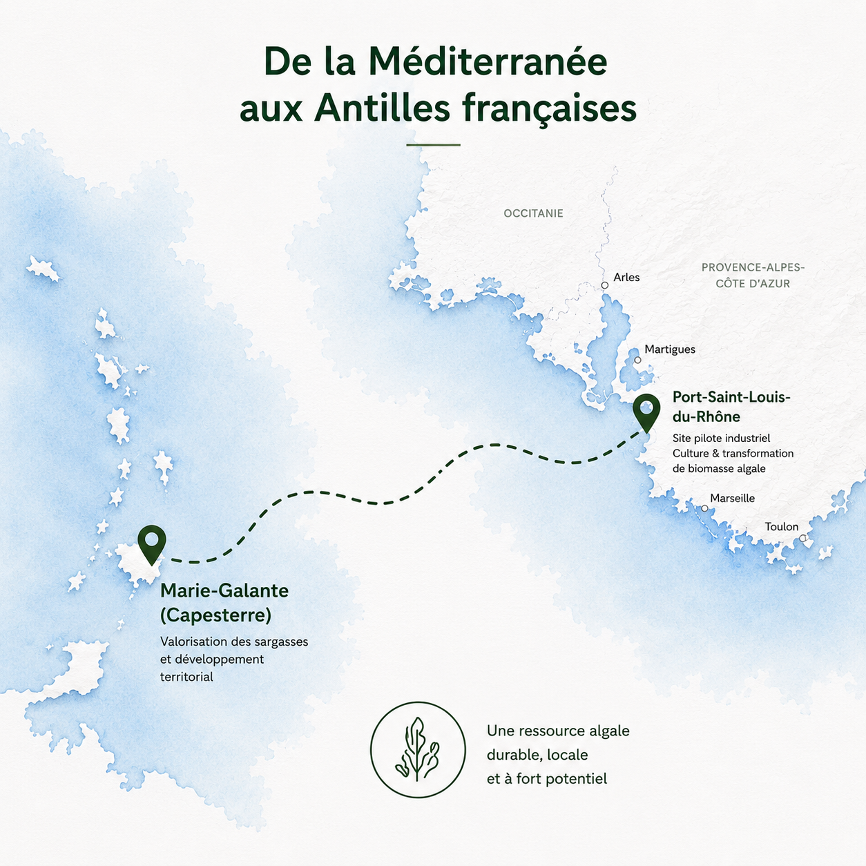 Carte carrée Marseille Antilles